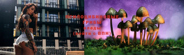 марки nbome Аркадак