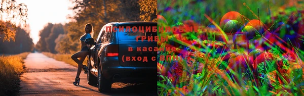 марки nbome Аркадак