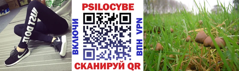 Галлюциногенные грибы GOLDEN TEACHER  Мосальск 